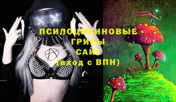 синтетический гашиш Богородицк