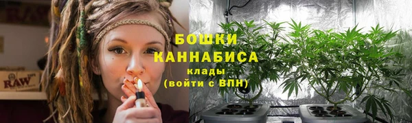 синтетический гашиш Богородицк