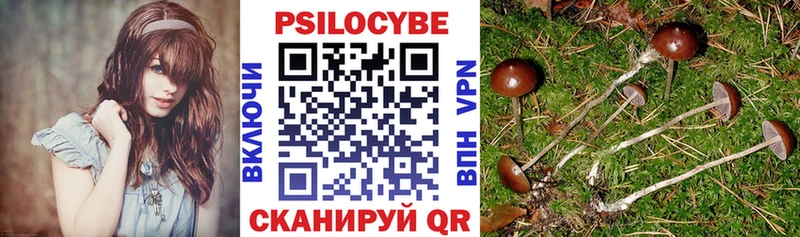 Псилоцибиновые грибы Magic Shrooms  Купить закладки  Тарко-Сале 
